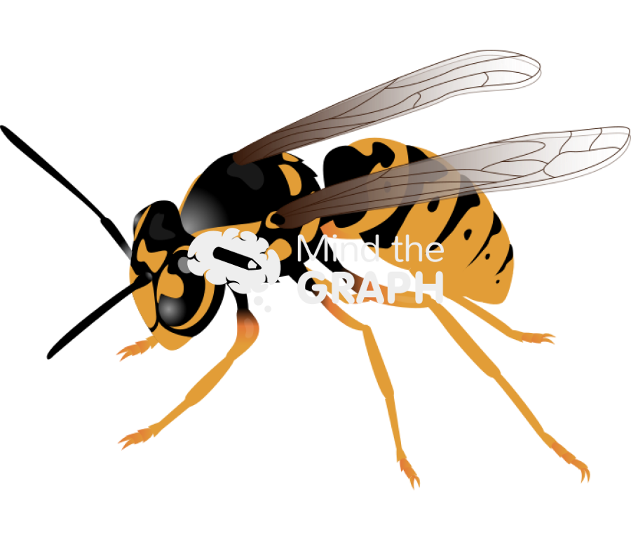 Wasp Icons, Symbols, Pictures, and Images