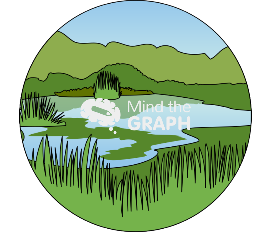 Wetlands landscape zoom Icons, Symbols, Pictures, and Images